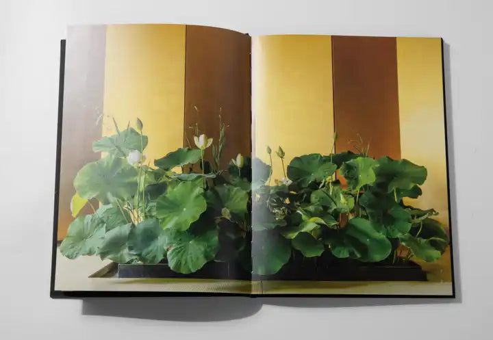 Printing Books Art book printing A3 A4 A5 hardcover book supplier in China